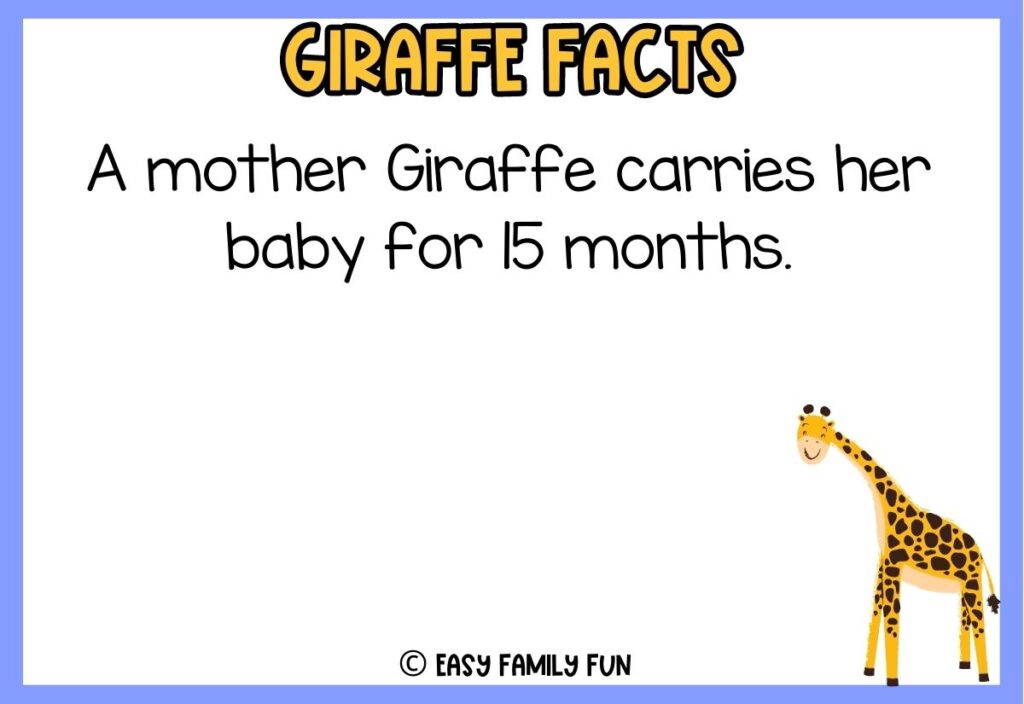 in post image with blue border, white background, yellow title that says "Giraffe Facts", text of a fact about giraffes, and an image of a giraffe