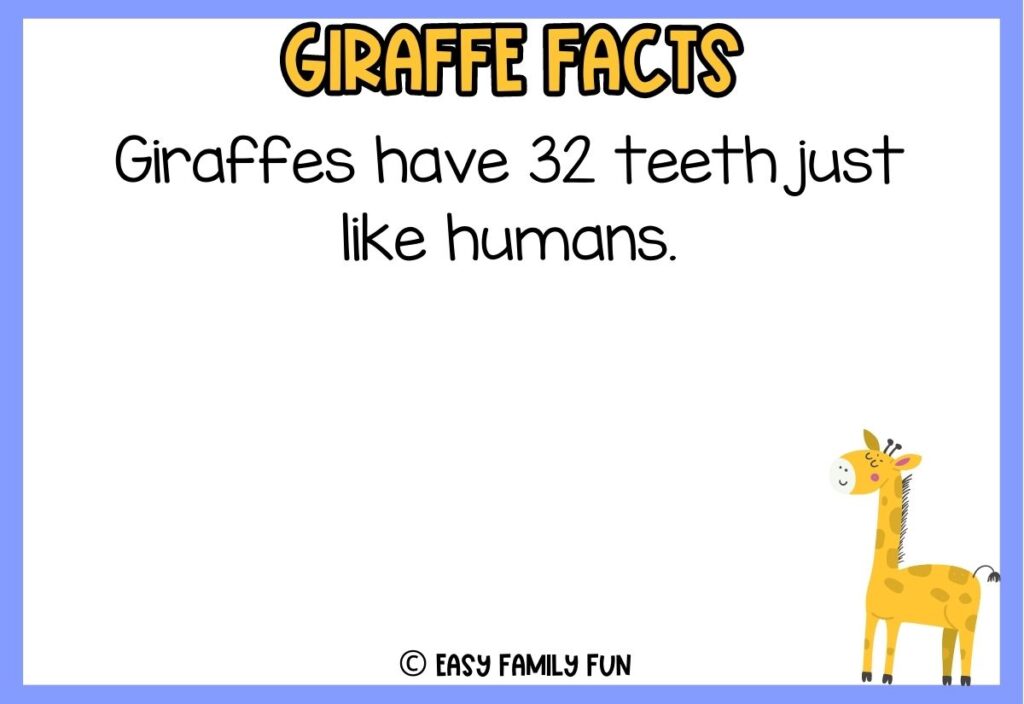 in post image with blue border, white background, yellow title that says "Giraffe Facts", text of a fact about giraffes, and an image of a giraffe