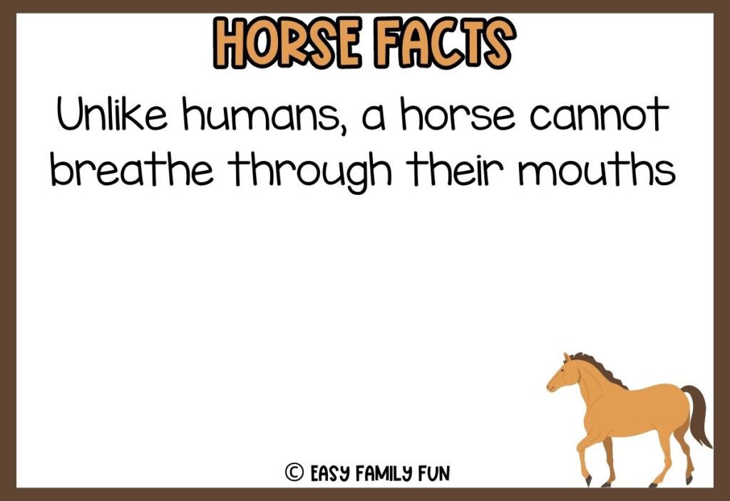 in post image with white background, brown border, bold title that says "Horse Facts", text of a fact about horses, and an image of a horse