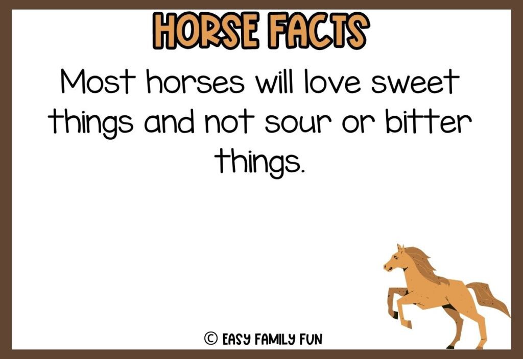 in post image with white background, brown border, bold title that says "Horse Facts", text of a fact about horses, and an image of a horse