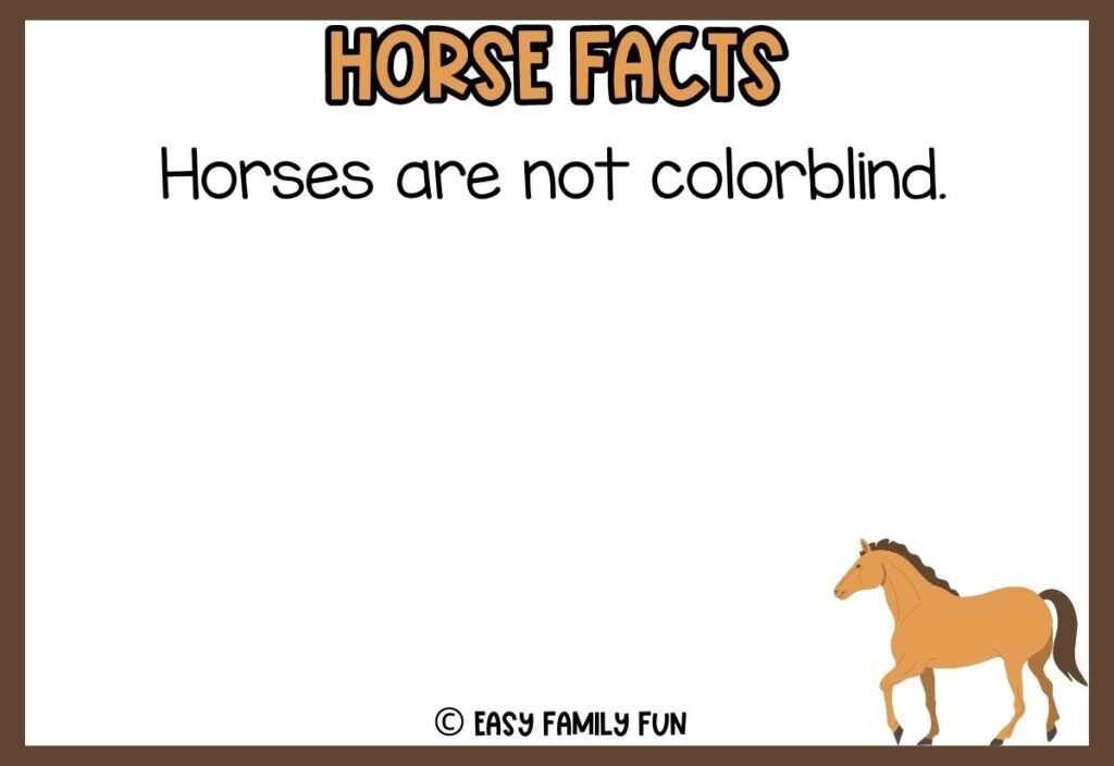 in post image with white background, brown border, bold title that says "Horse Facts", text of a fact about horses, and an image of a horse