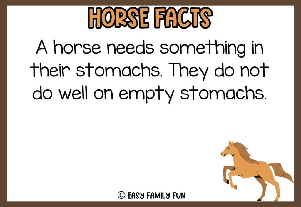 in post image with white background, brown border, bold title that says "Horse Facts", text of a fact about horses, and an image of a horse