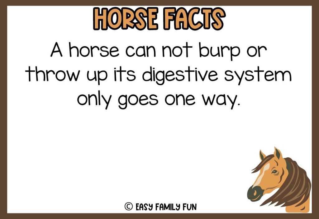 in post image with white background, brown border, bold title that says "Horse Facts", text of a fact about horses, and an image of a horse