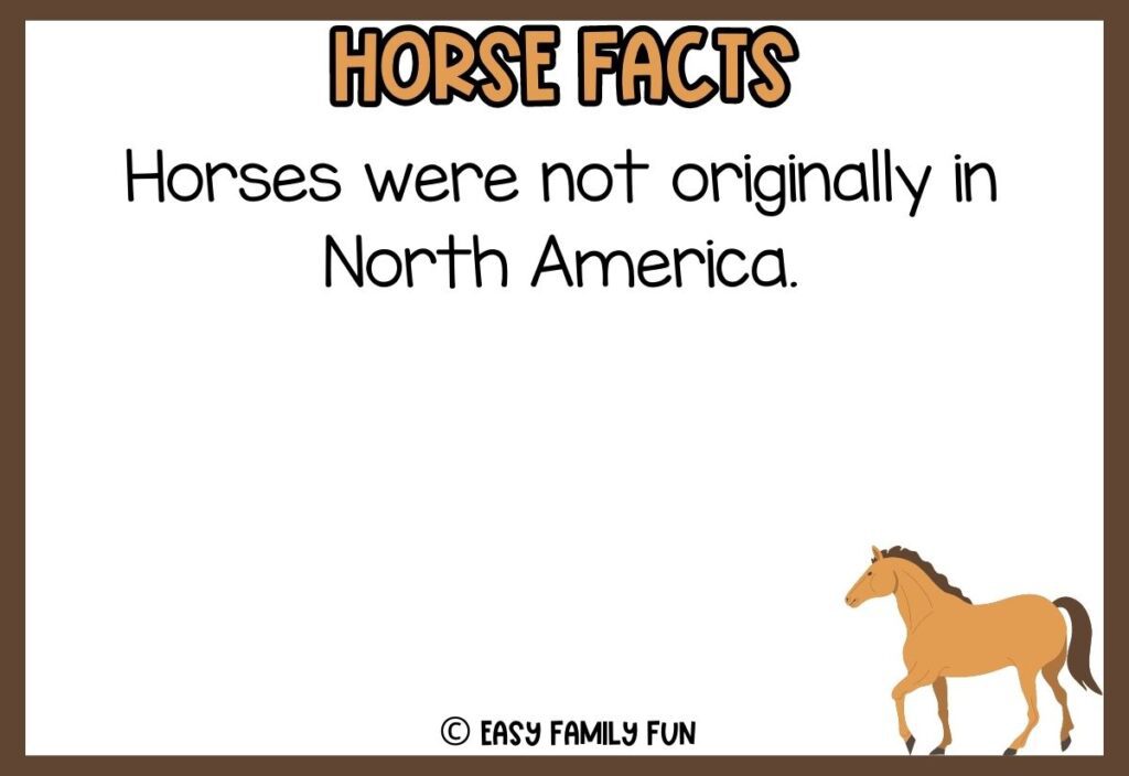 in post image with white background, brown border, bold title that says "Horse Facts", text of a fact about horses, and an image of a horse