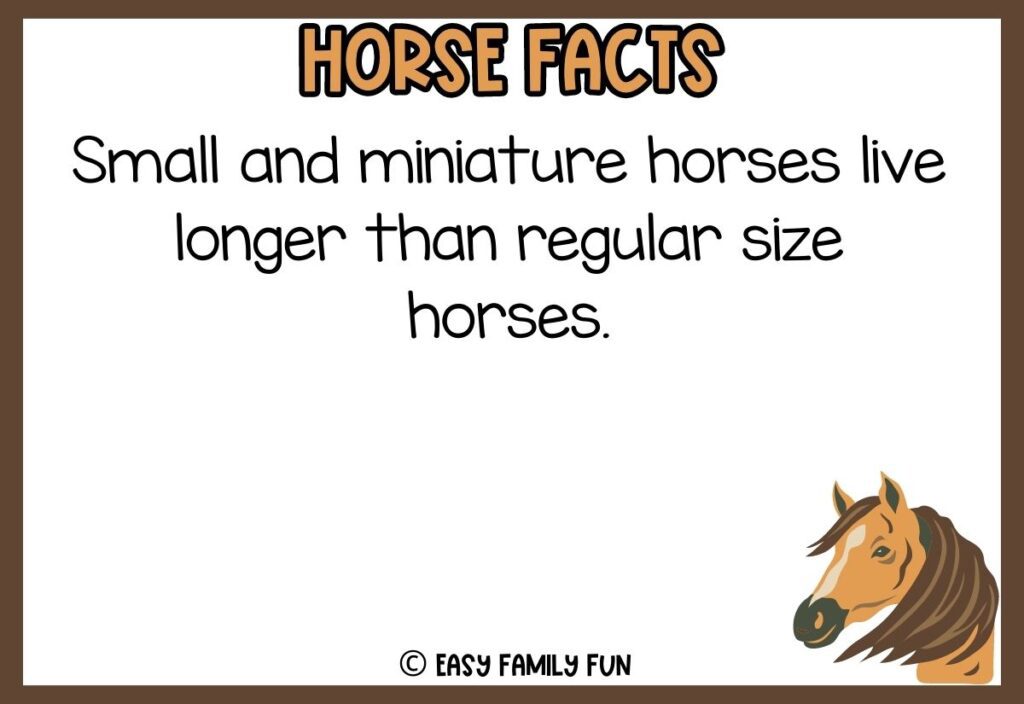 in post image with white background, brown border, bold title that says "Horse Facts", text of a fact about horses, and an image of a horse