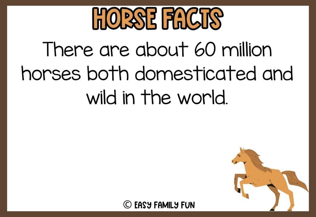 in post image with white background, brown border, bold title that says "Horse Facts", text of a fact about horses, and an image of a horse