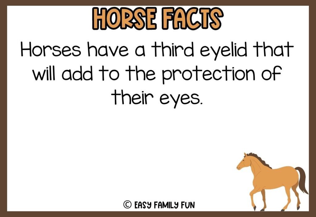 in post image with white background, brown border, bold title that says "Horse Facts", text of a fact about horses, and an image of a horse