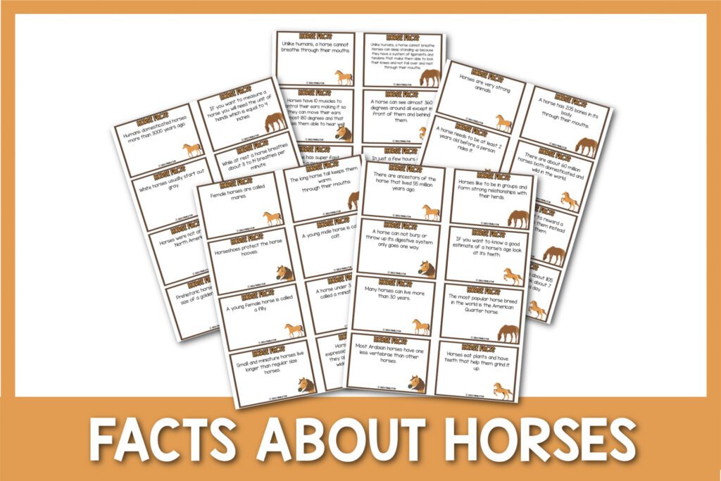 featured image with white background, brown border, bold white title that says "Facts About Horses" and images of facts about horses printable cards
