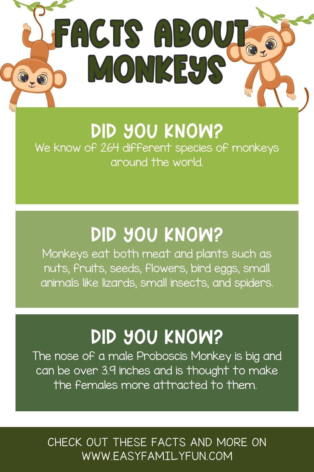55 Fun Facts About Monkeys Get Ready To Be Amazed IGQGMB