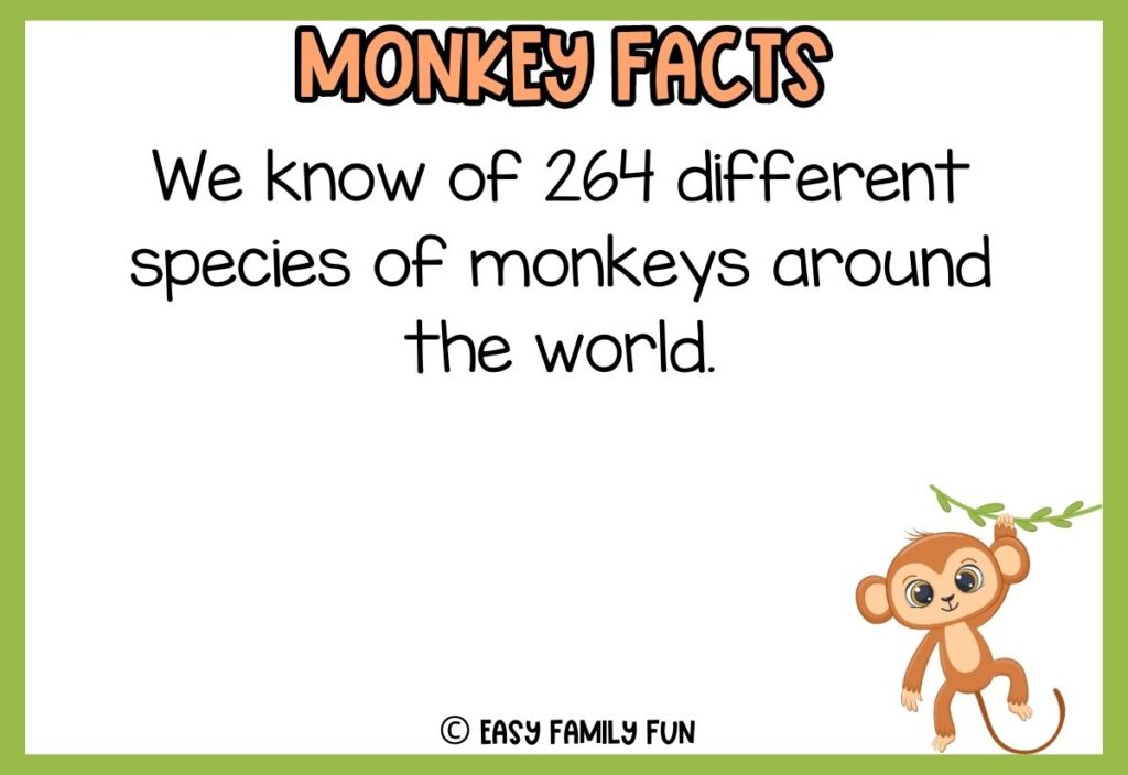 in post image with white background, green border, bold title that says "Monkey Facts", text of a fact about monkeys and an image of a monkey