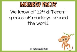 100 Marvelous Facts About Monkeys