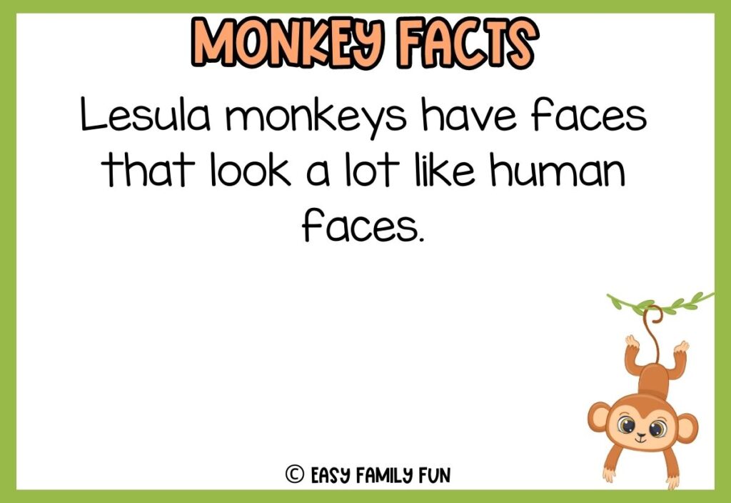 in post image with white background, green border, bold title that says "Monkey Facts", text of a fact about monkeys and an image of a monkey