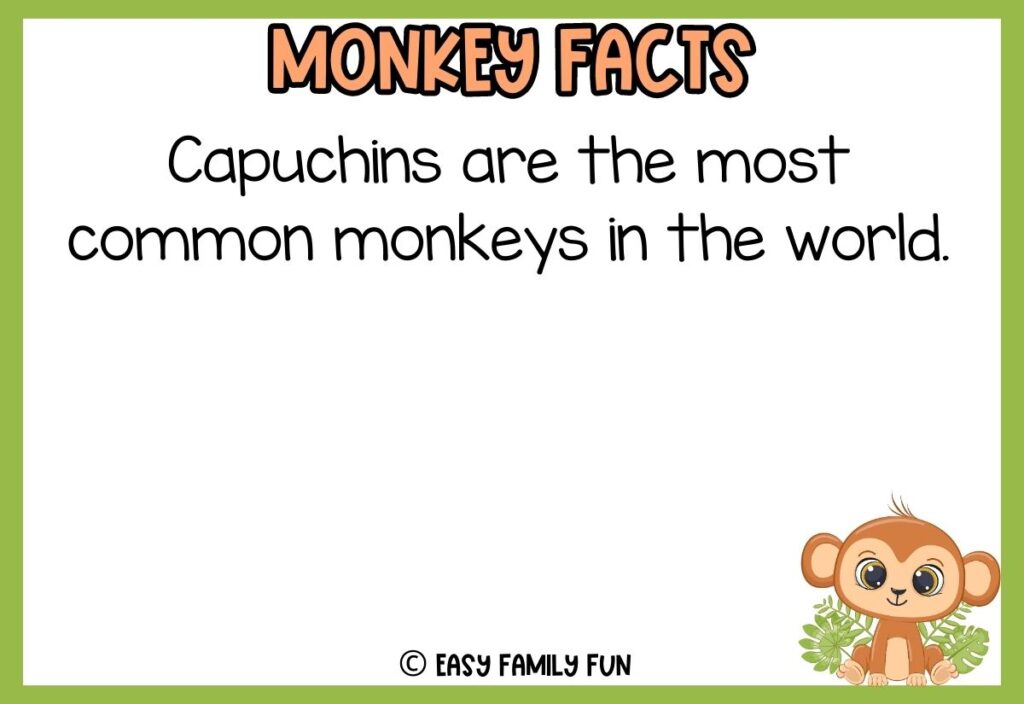 in post image with white background, green border, bold title that says "Monkey Facts", text of a fact about monkeys and an image of a monkey