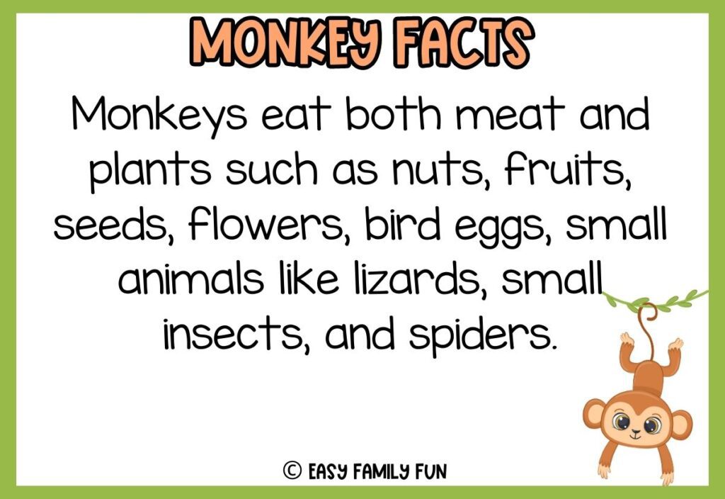 in post image with white background, green border, bold title that says "Monkey Facts", text of a fact about monkeys and an image of a monkey