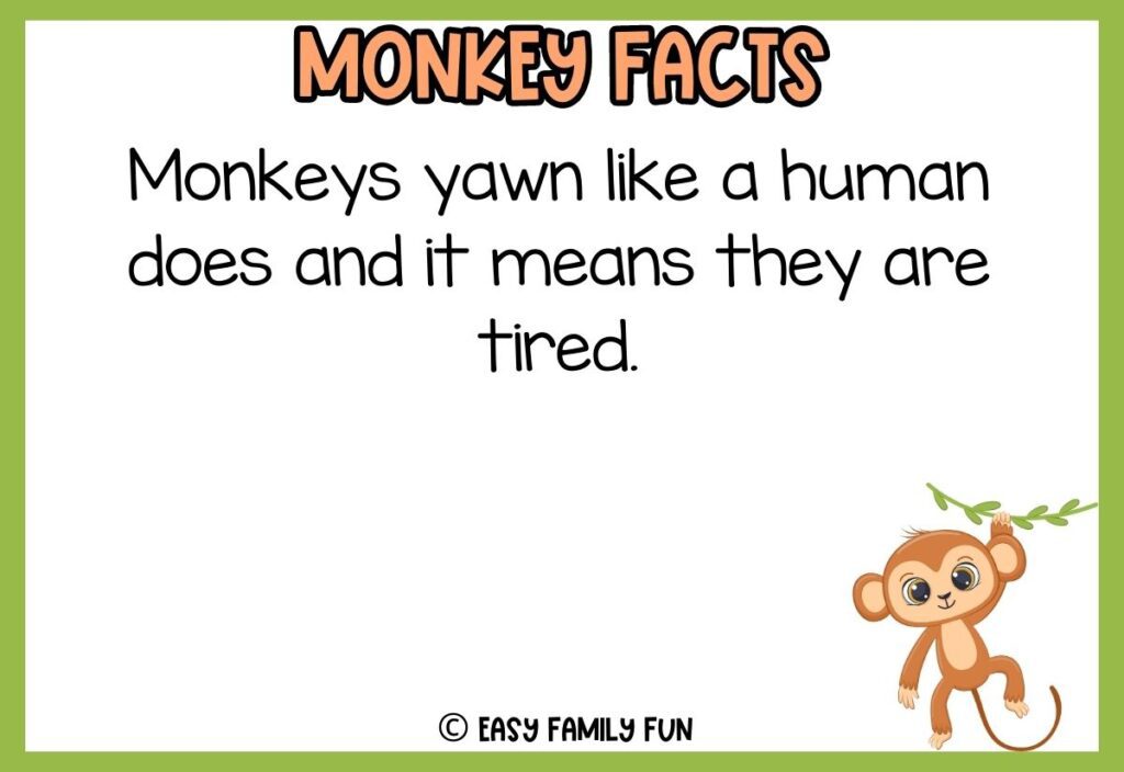 in post image with white background, green border, bold title that says "Monkey Facts", text of a fact about monkeys and an image of a monkey