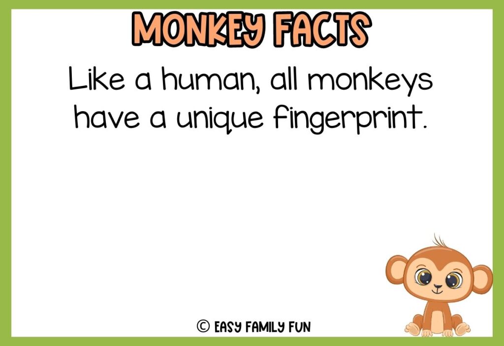 in post image with white background, green border, bold title that says "Monkey Facts", text of a fact about monkeys and an image of a monkey