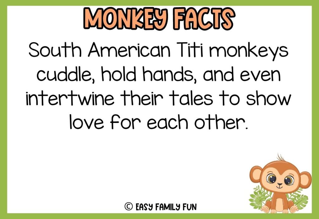 in post image with white background, green border, bold title that says "Monkey Facts", text of a fact about monkeys and an image of a monkey