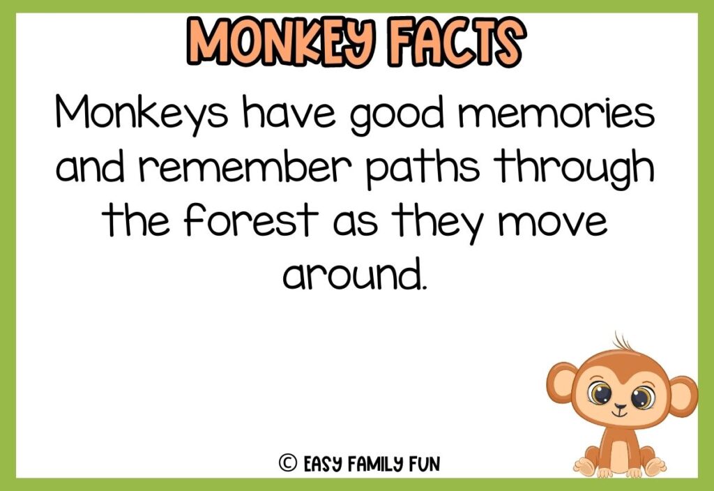 in post image with white background, green border, bold title that says "Monkey Facts", text of a fact about monkeys and an image of a monkey