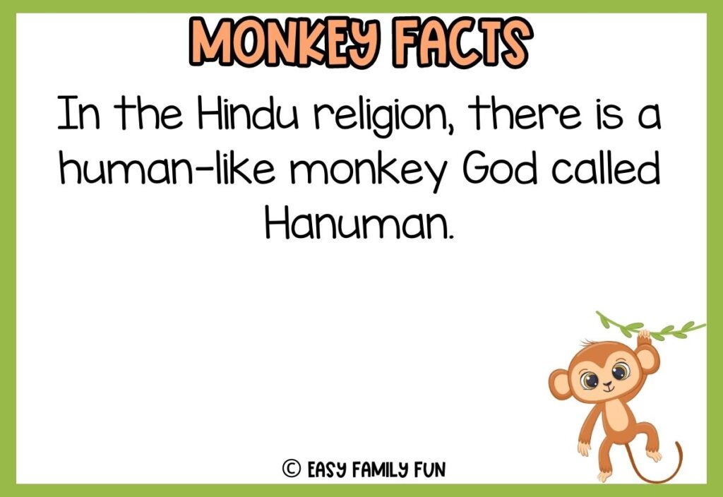 in post image with white background, green border, bold title that says "Monkey Facts", text of a fact about monkeys and an image of a monkey