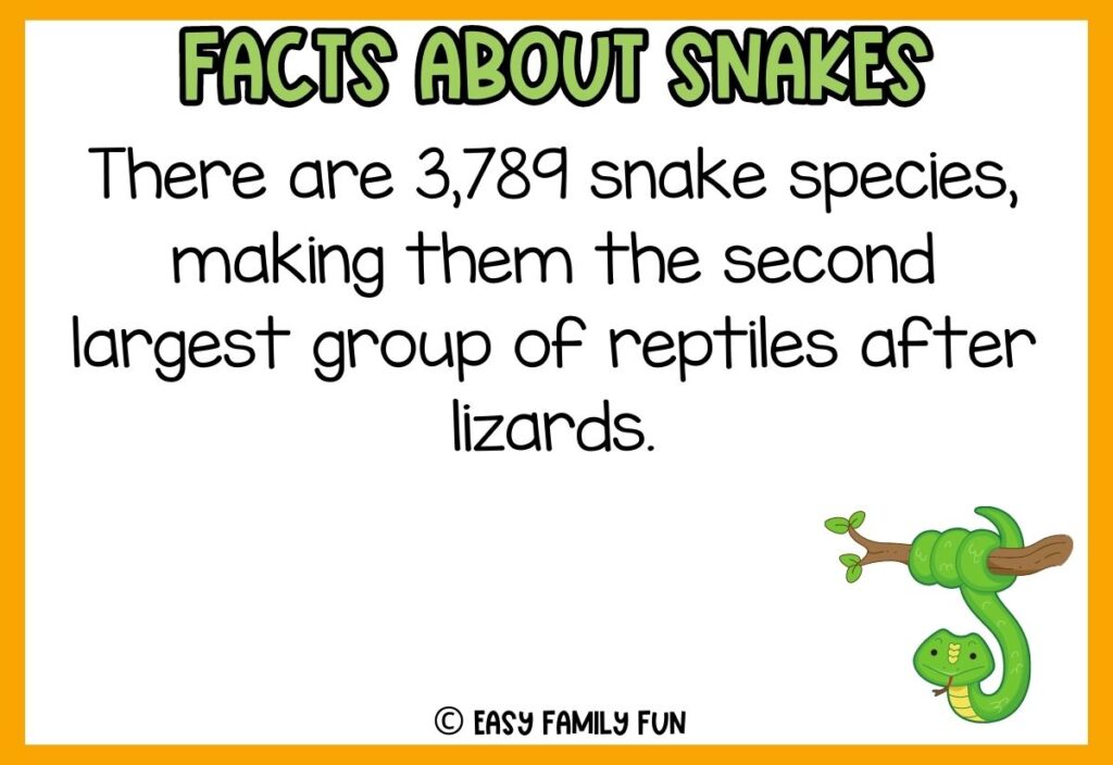 white background, orange border saying facts about snakes with a image of a hanging snake from a tree branch
