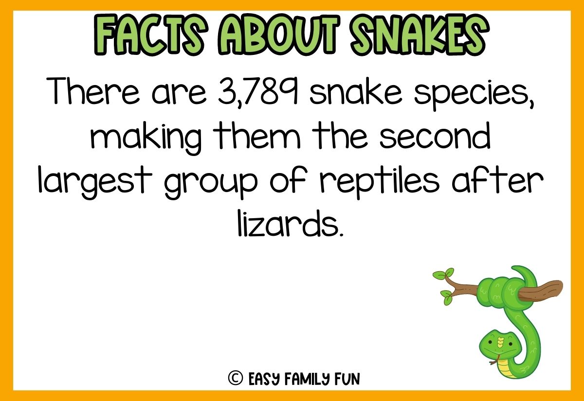 56 Interesting Facts About Snakes [Free Fact Cards]