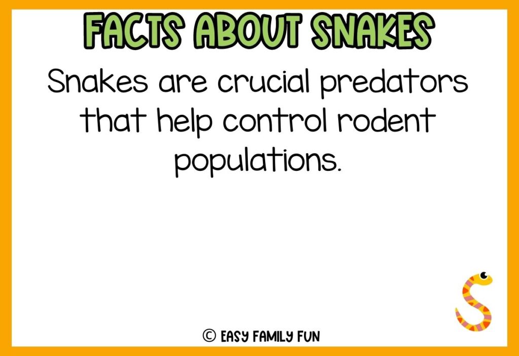 white background, orange border saying facts about snakes with a image of a colorful cartoon snake 
