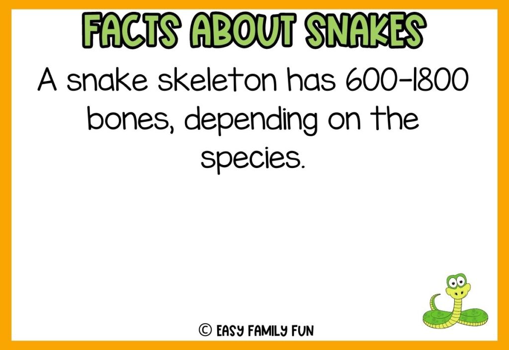 white background, orange border saying facts about snakes with a image of a green cobra
