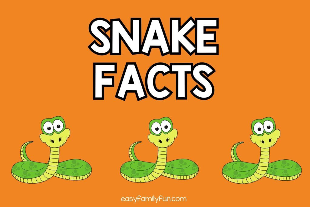 featured image with orange background, white text that says "snake facts" with an images of cartoon cobra