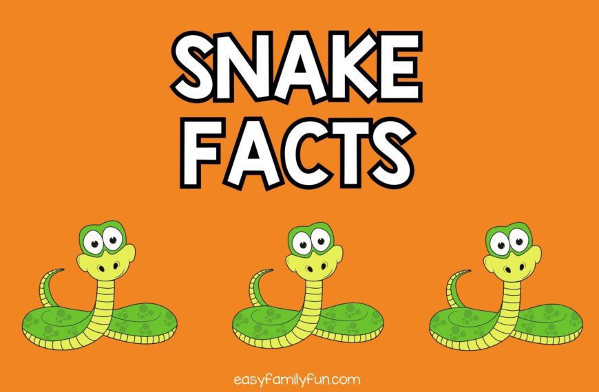 56 Interesting Facts About Snakes [Free Fact Cards]