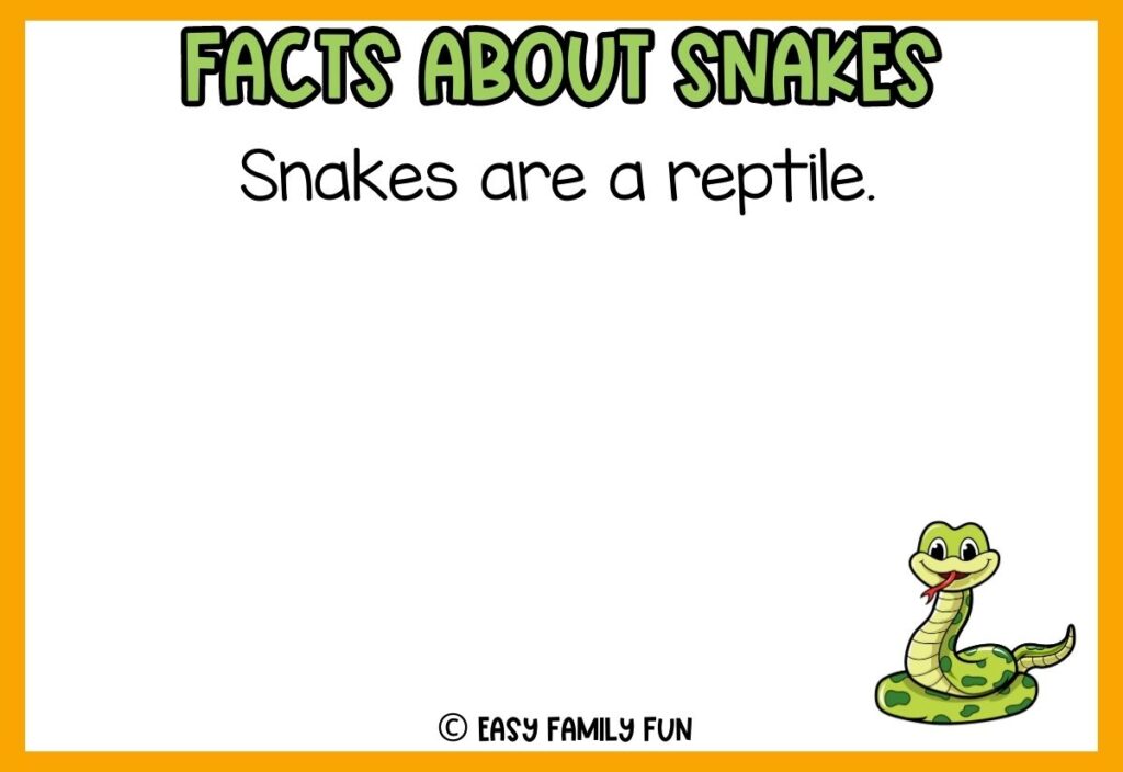 white background, orange border saying facts about snakes with a image of a hissing cobra

