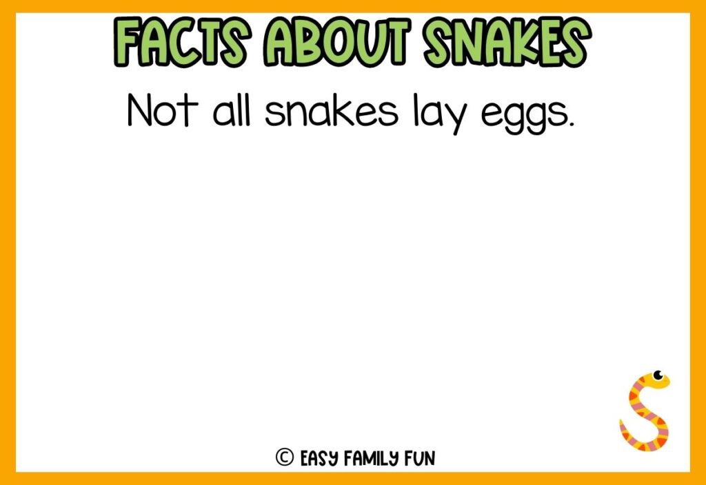 white background, orange border saying facts about snakes with a image of a colorful cartoon snake 
