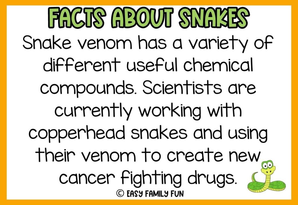 white background, orange border saying facts about snakes with a image of a green cobra
