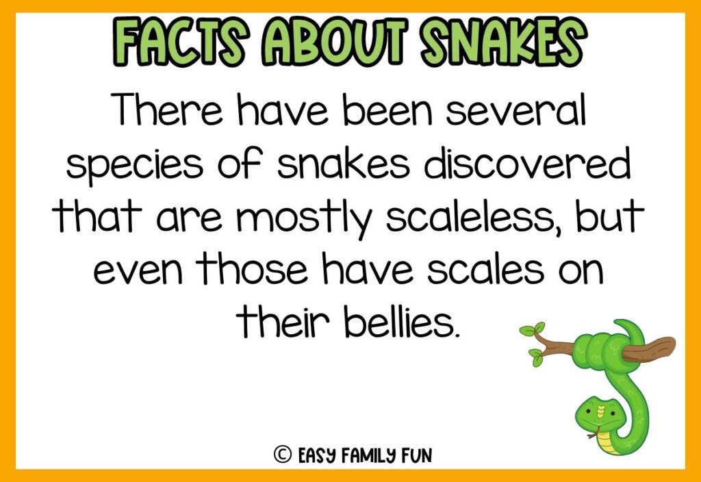 white background, orange border saying facts about snakes with a image of a hanging snake from a tree branch