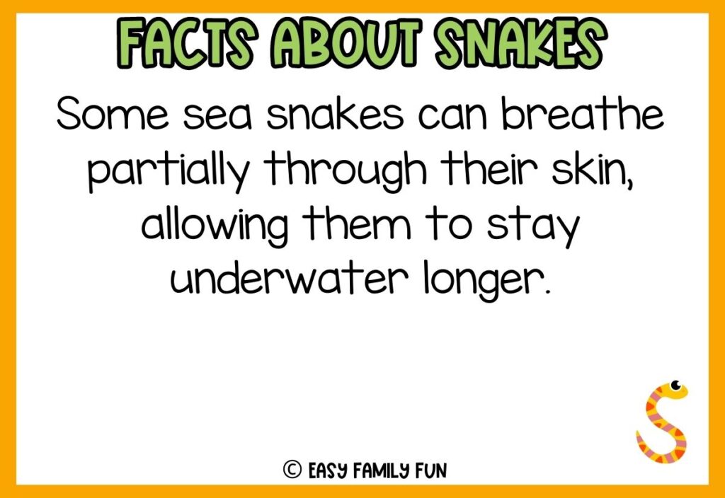 white background, orange border saying facts about snakes with a image of a colorful cartoon snake 
