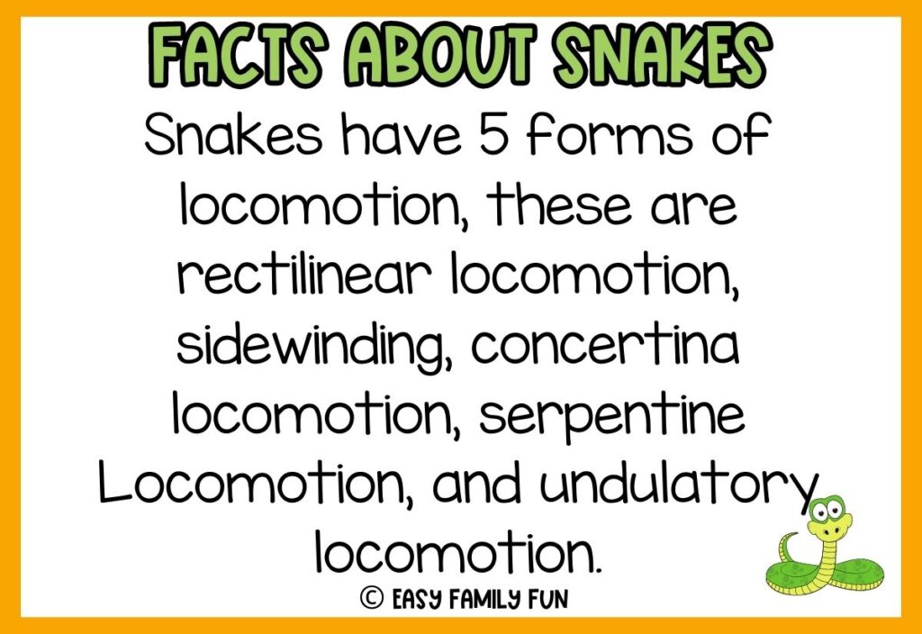 white background, orange border saying facts about snakes with a image of a green cobra
