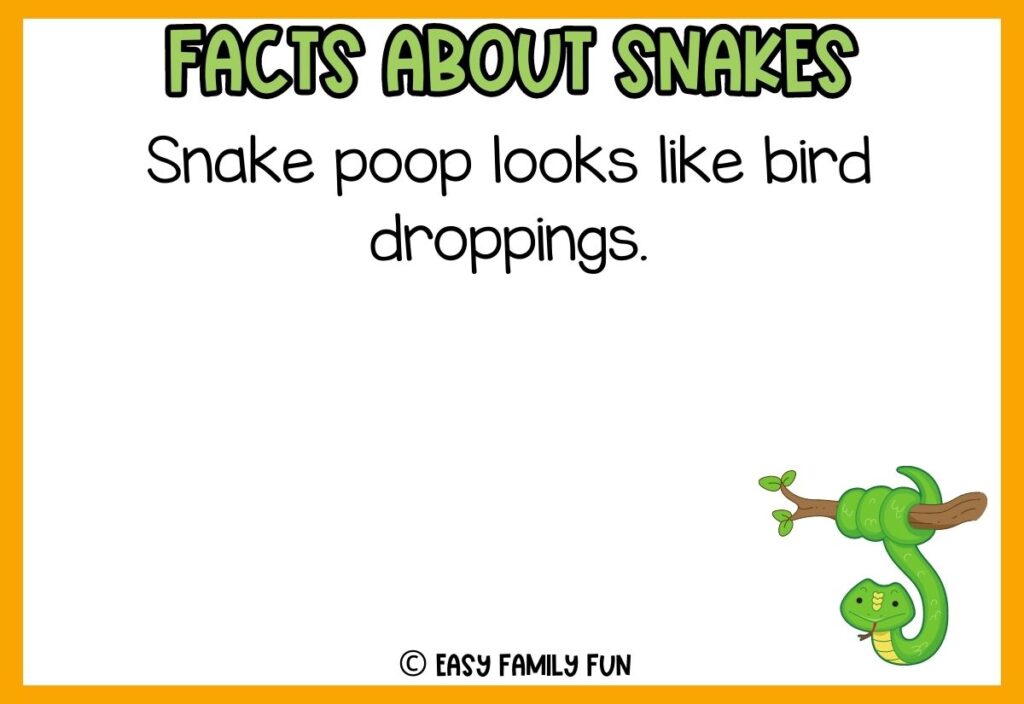 white background, orange border saying facts about snakes with a image of a hanging snake from a tree branch
