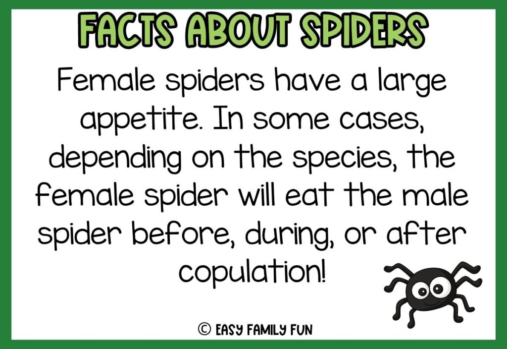 white background, green border saying facts about spiders with a image of a cute cartoon spider
