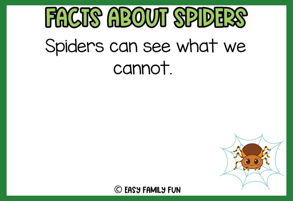 white background, green border saying facts about spiders with a image of a cute cartoon spider
