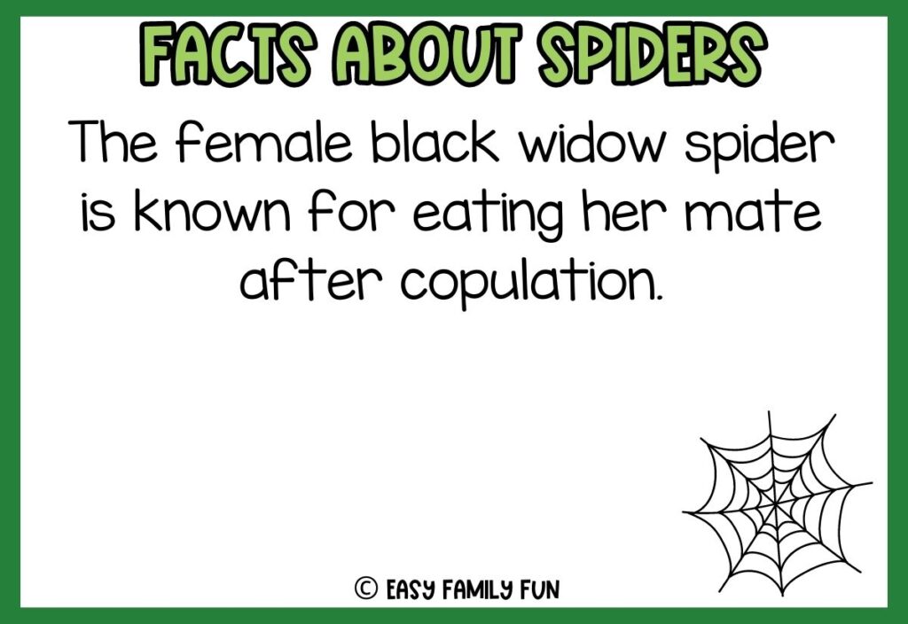white background, green border saying facts about spiders with a image of a cute cartoon spider
