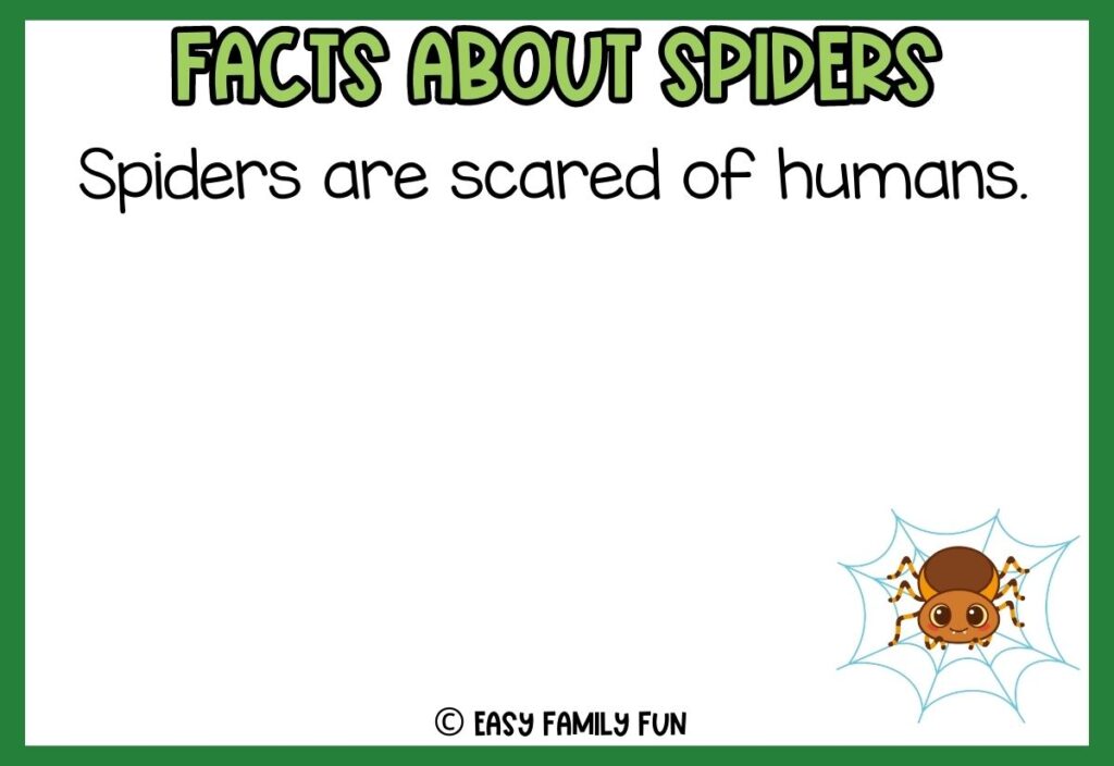 white background, green border saying facts about spiders with a image of a cute cartoon spider
