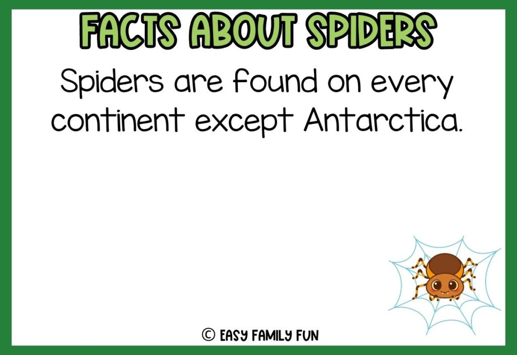 white background, green border saying facts about spiders with a image of a cute cartoon spider
