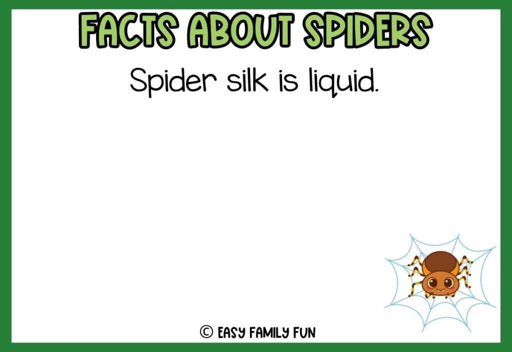 white background, green border saying facts about spiders with a image of a cute cartoon spider
