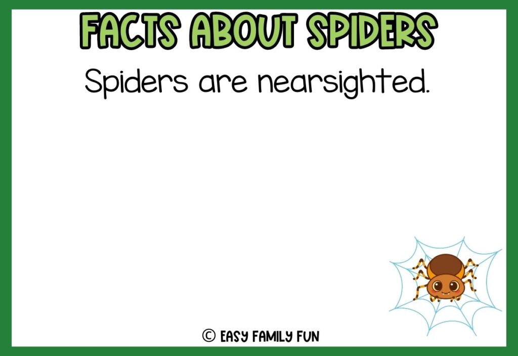 white background, green border saying facts about spiders with a image of a cute cartoon spider
