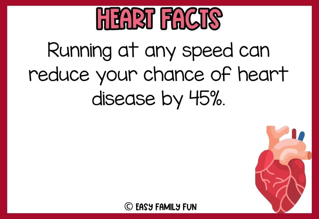 in post image with white background, red border, bold pink title that says "Heart Facts", text of a fact about your heart, and an image of a heart