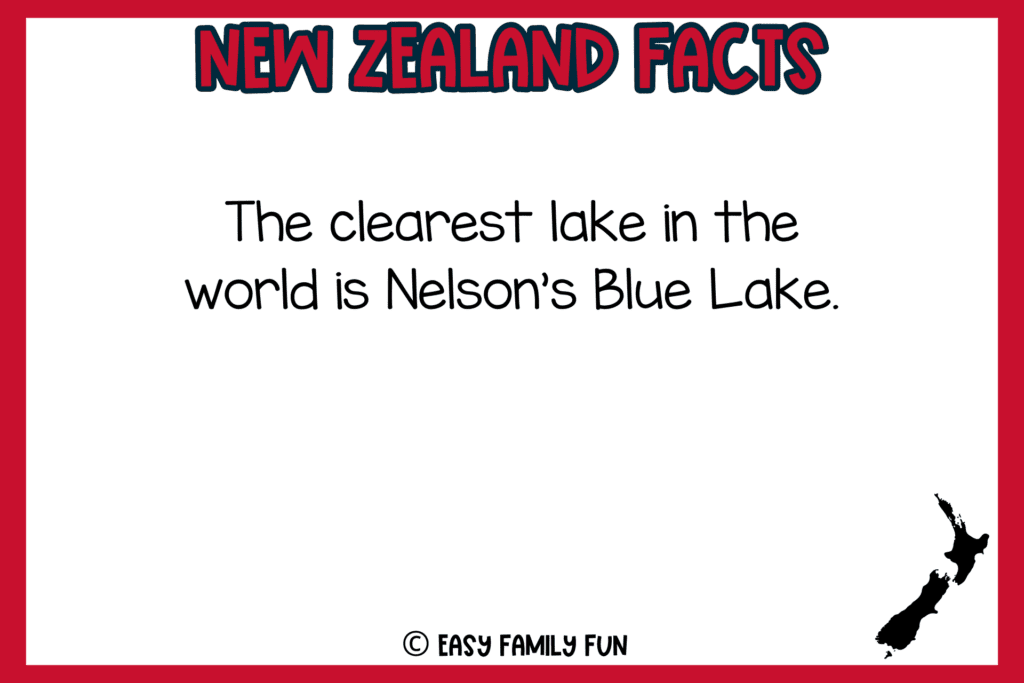 white background, red border, text of New Zealand facts, and an image of New Zealand map in black
