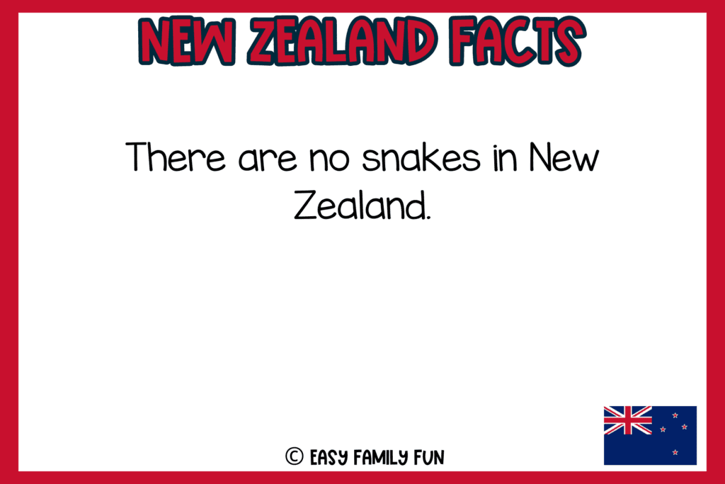 white background, red border, text of New Zealand facts, and an image of New Zealand flag
