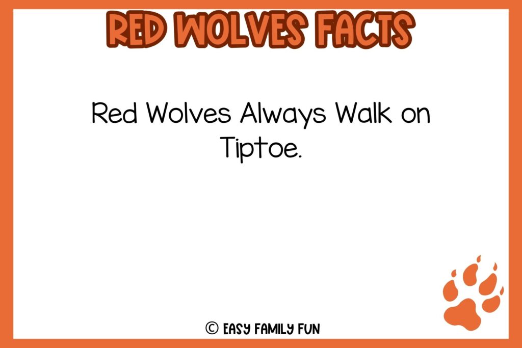 white background, orange border, text of a facts about red wolves, and an image of a wolf footprint in red