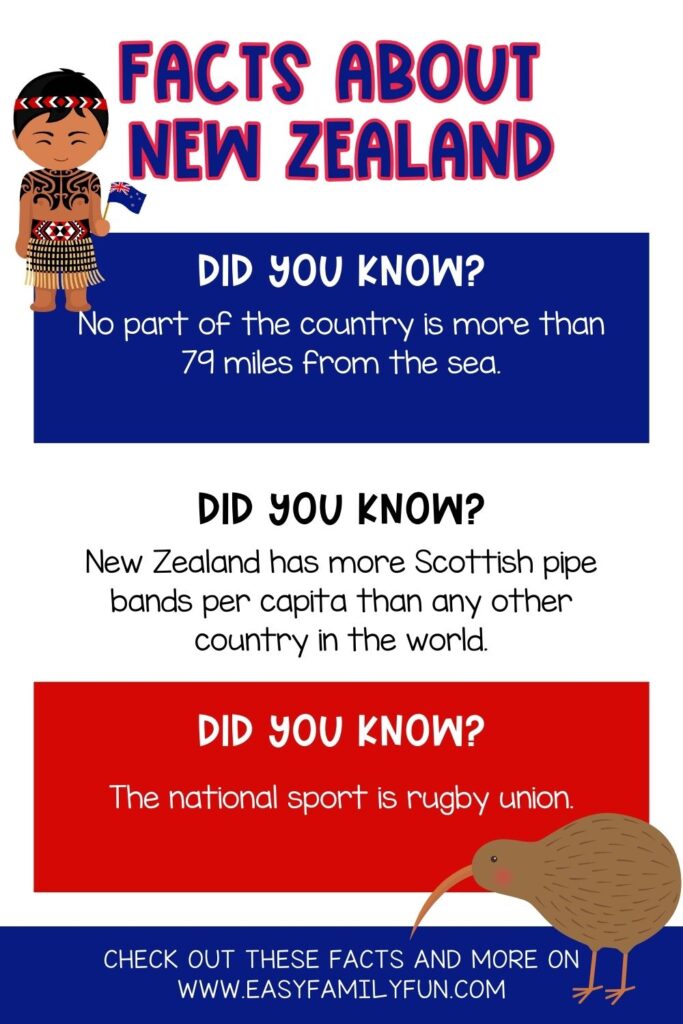 Pin image- facts about New Zealand, three sections blue white and red all that have a fact in them. 