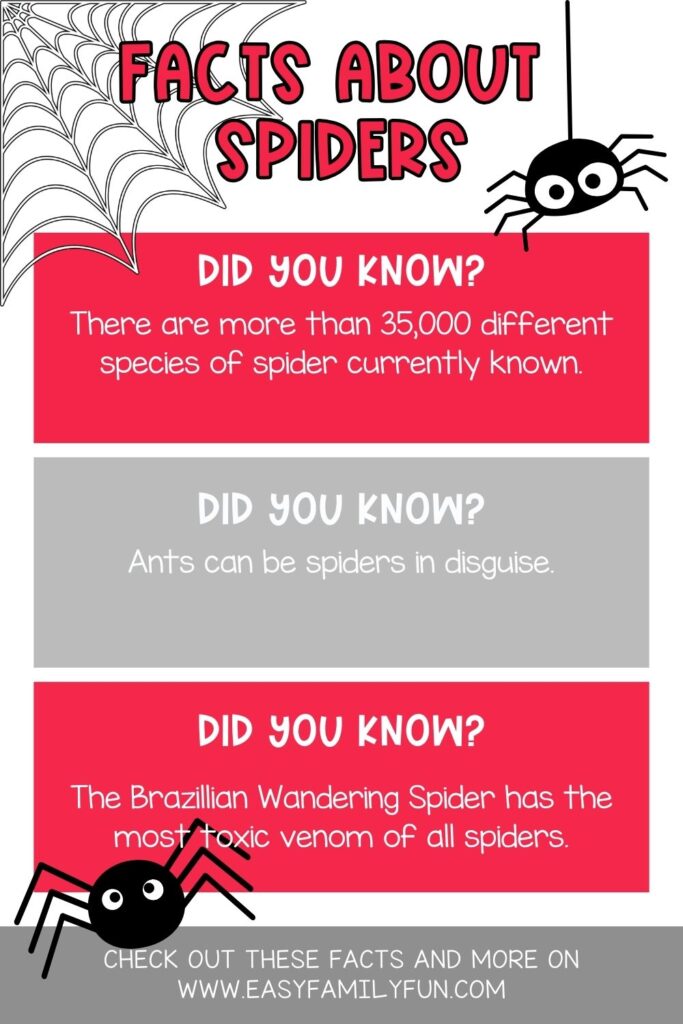 pin image- facts about spiders in red at the top with three other color blocks 2 red and one gray with spider facts listed. 