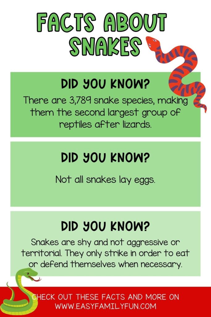 Pin image- facts about snakes at the top in green font with three green color blocks all with a snake fact. 